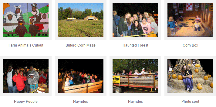 Schools/Groups - Buford Corn Maze