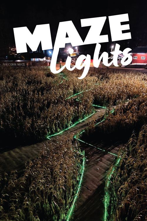 BCM_HomePageActivities_MazeLights_427x640