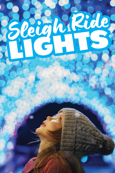 BCM_HomePageActivities_SleighRideLights_427x640